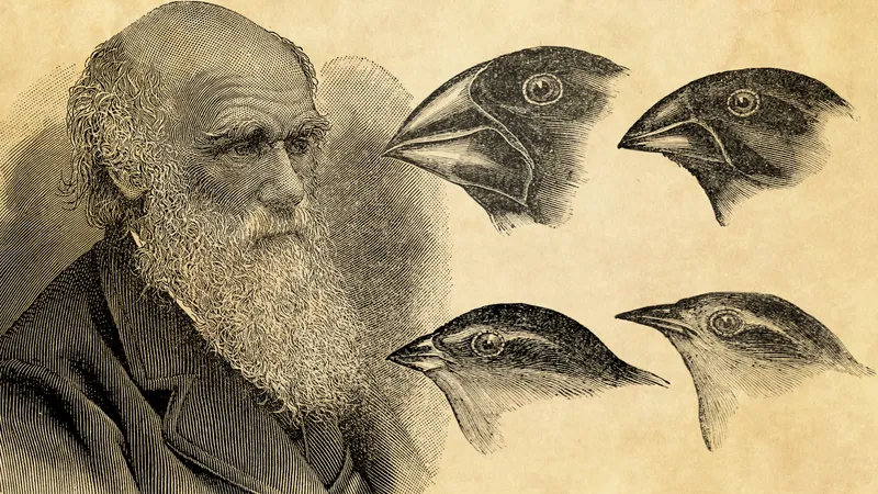 The Theory of Evolution